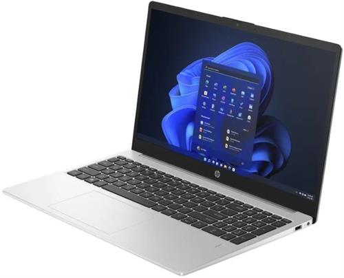 HP 255 G10 AD0V3ET AMD Ryzen 3 Laptop