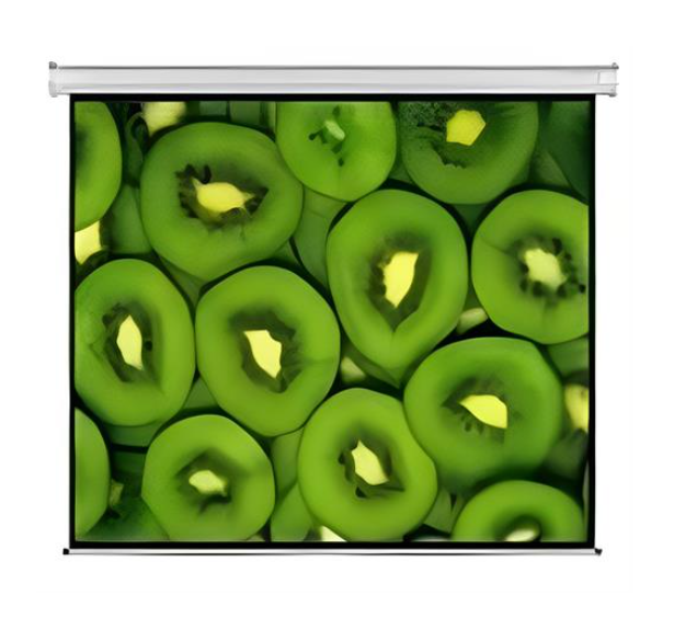 Esquire Electric Projector Screen 300 X 169