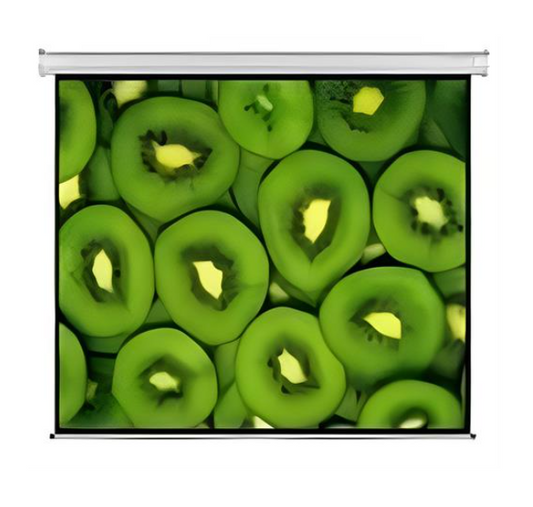 Esquire Electric Projector Screen 300 X 169
